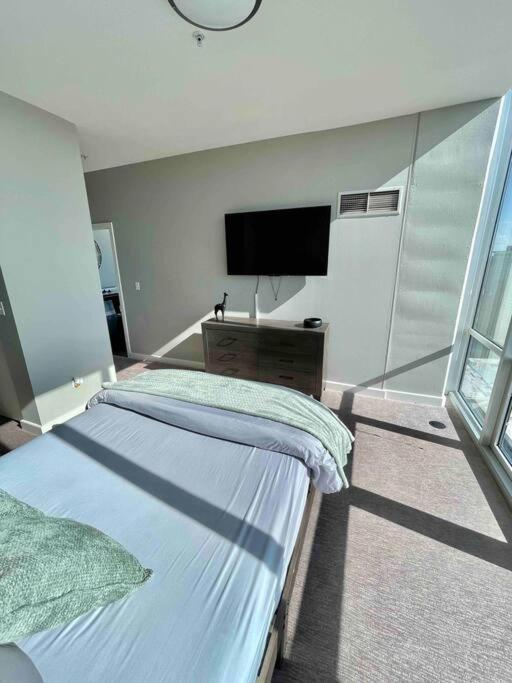 Penthouse In South Loop Chicago Lejlighed Eksteriør billede