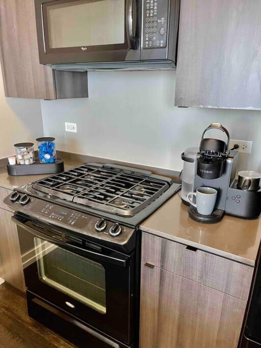 Penthouse In South Loop Chicago Lejlighed Eksteriør billede